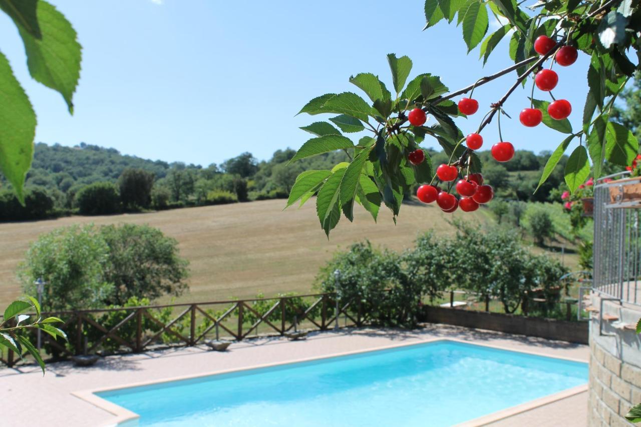 Macchiapiana Villa Scansano Kültér fotó